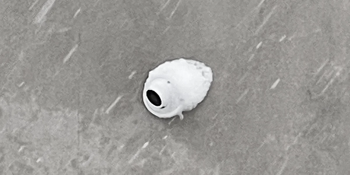 Cold Start: What a GTA Winter Actually Does to an Outdoor Camera